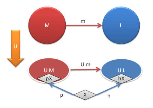 Universal construction of a free monoid generated by X
