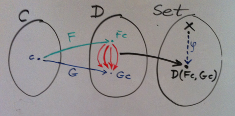 A function from a set X to a hom-set defined by two functors F and G