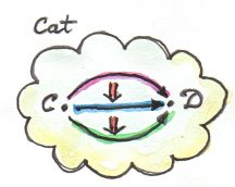 8_Cat-2-Cat
